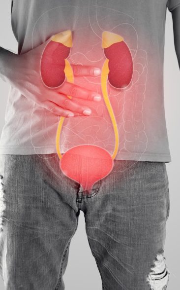 kidney-urethra-illustration-men-body-against-gray-background.jpg